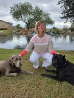 Agent Jodi Rae Randa (Ph: 720-244-1796) is listing 5840 Dakan Loop, Colorado Springs, CO 80927, MLS ID: 7605174